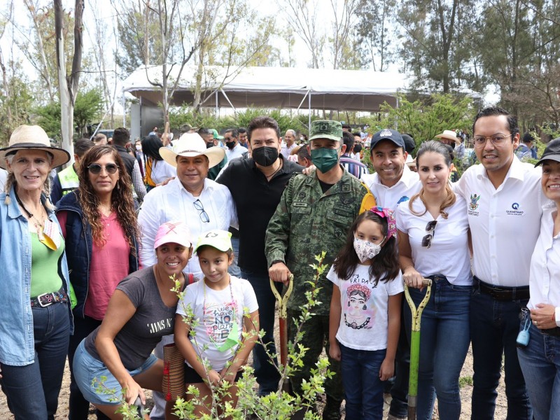 Comisión de Medio Ambiente aprueba iniciativas