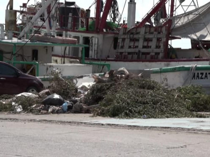 Cómo basurero público muelle de parque Bonfil