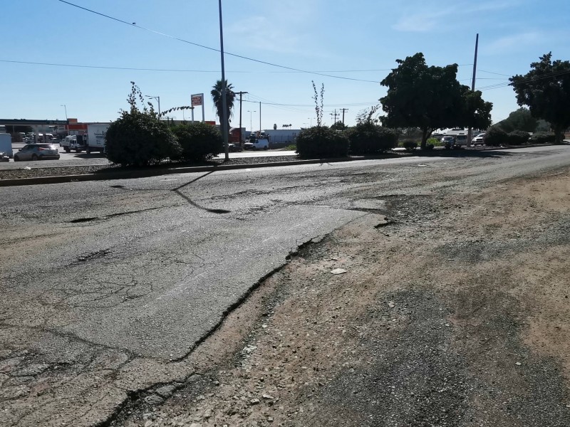 Cómo cartera de huevo Bulevard Gaxiola