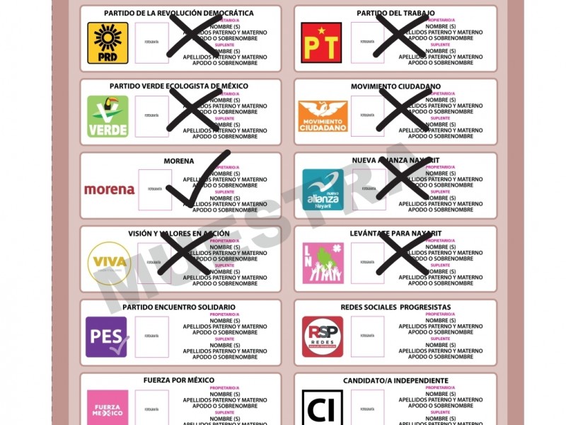 ¿Cómo y por qué se anula un voto?, te explicamos.