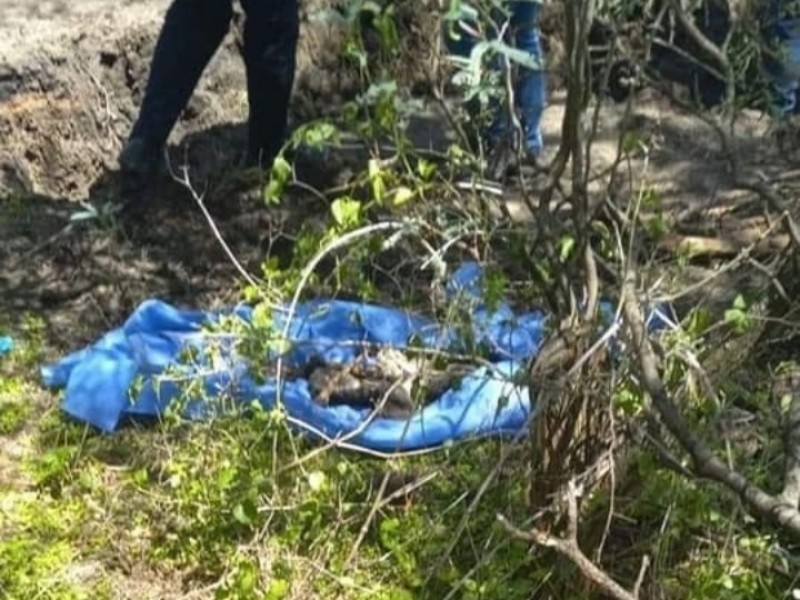 Comparten señas particulares de cuerpos localizados en Villamar