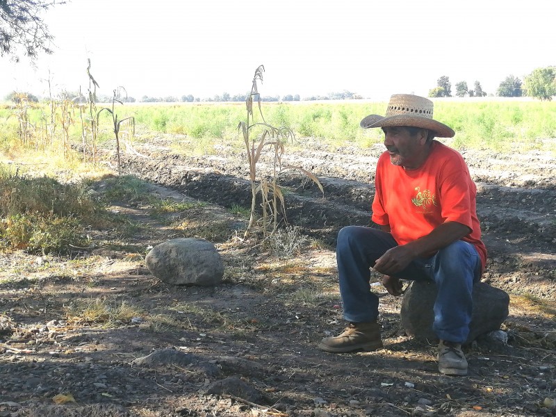 Complicado panorama para trabajadores del campo