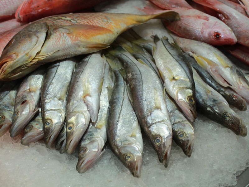 Compra de pescado en Zinacantepec aumenta pese a precios elevados