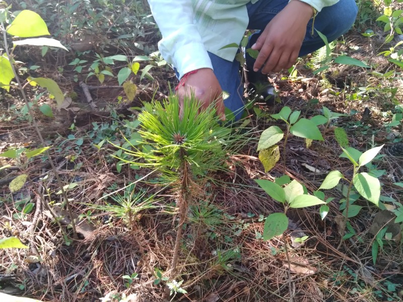 Comuneros piden equipamiento para preservar los bosques