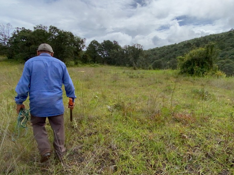 Comuneros se amparan ante privatización de tierras comunales y ejidales