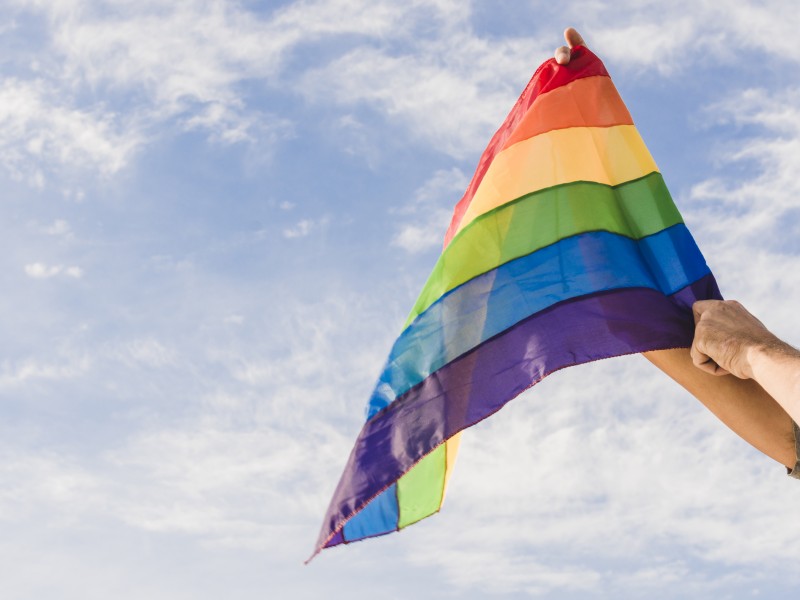 Comunidad LGBT+ exige representación