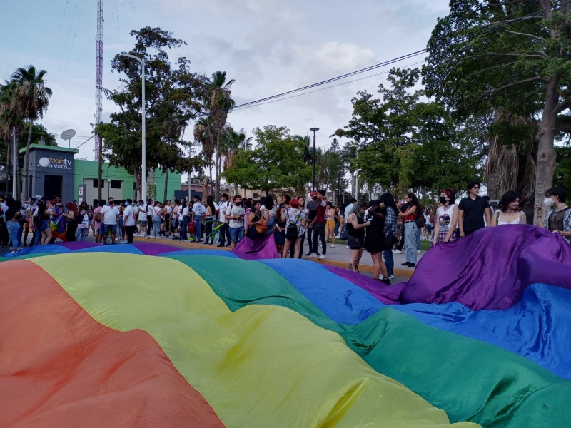 Comunidad LGBT pide aprobación de registros civiles en Ahome