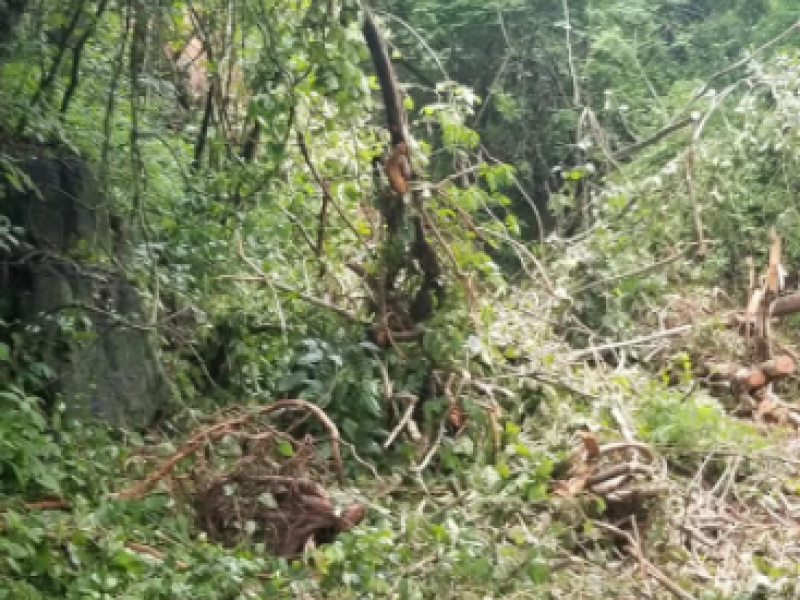 Comunidades de Santiago Ixcuintla quedaron incomunicadas