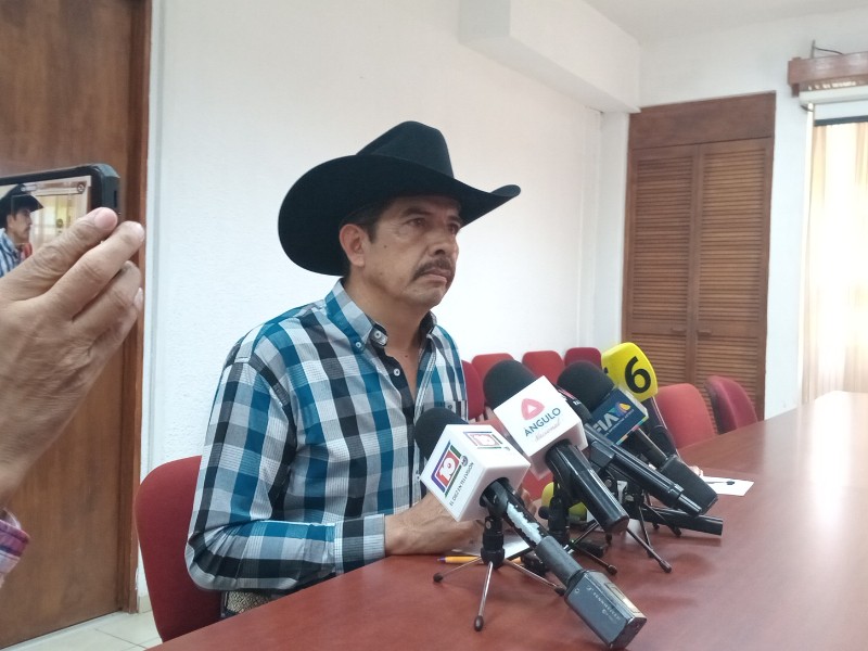 Comunidades están enfrentando plaga de chapulin, gobierno estatal lo está combatiendo