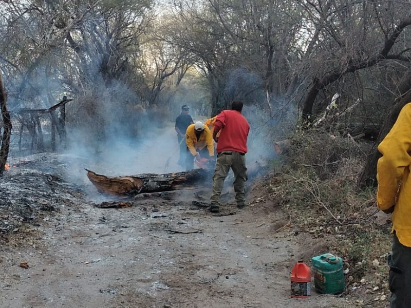 Con 10 años de prisión se castigará por provocar incendios