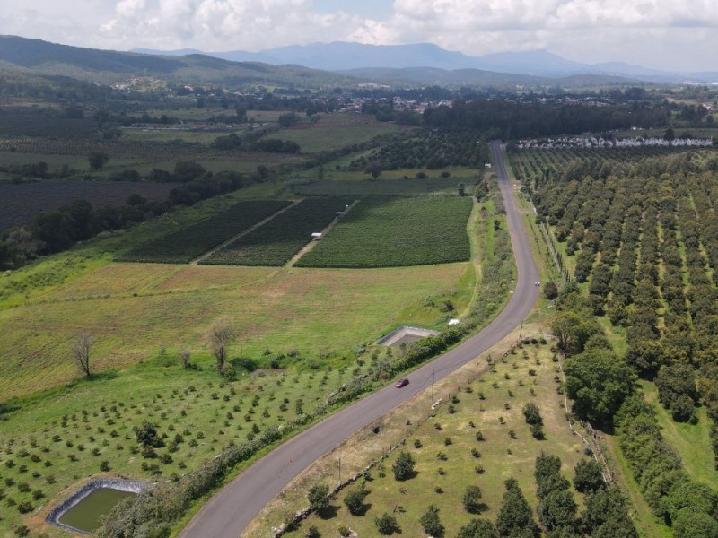 Con 176.6 mdp, SCOP mejora camino Tocumbo-Cotija-Puente Jaripo