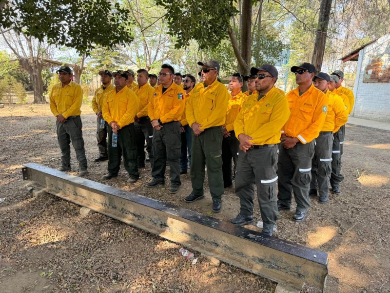 Con 31 personas refuerzan combate terrestre de incendio en Chimalapas
