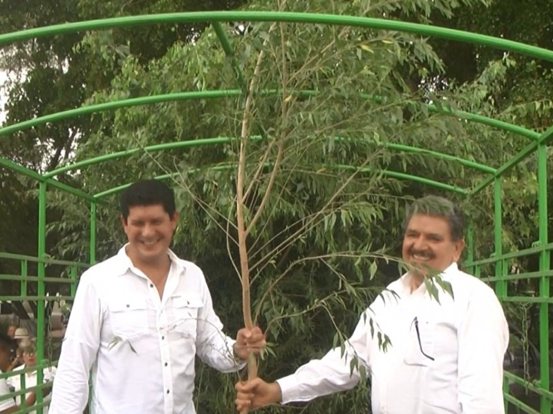 Con 500 árboles reforestarán espacio del Río Humaya
