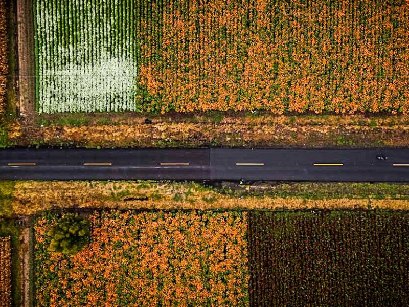 Con avance del 85%, conservación del camino Copándaro-Chucándiro: SCOP