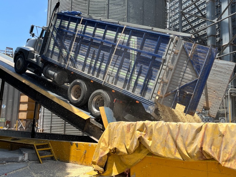 Con bodegas llenas concluye cosecha de maíz