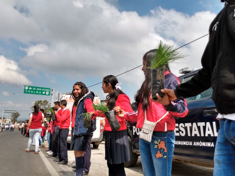 Con cadena humana exigen frenar tala en Ocuilan