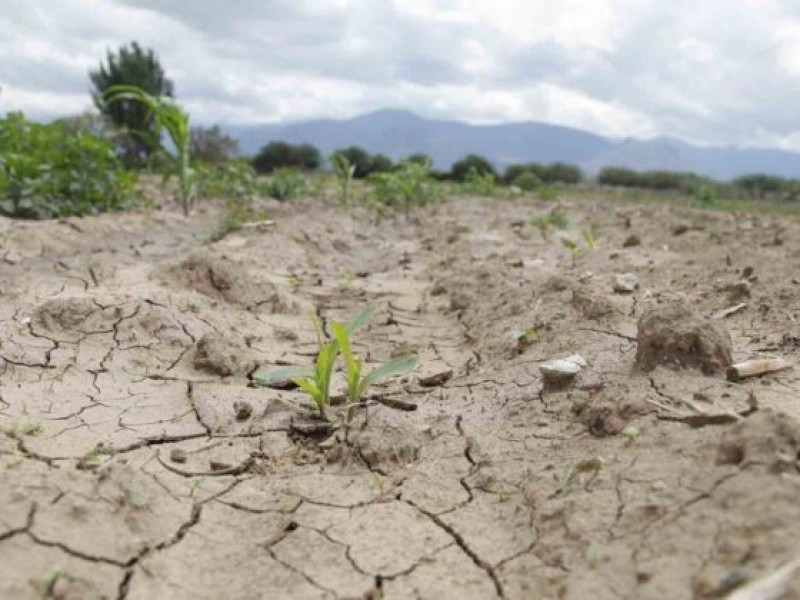Con diferentes grados de sequía, 140 municipios de Oaxaca: CONAGUA