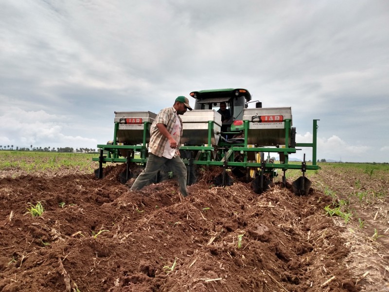 Con factores en contra inician productores ciclo agrícola