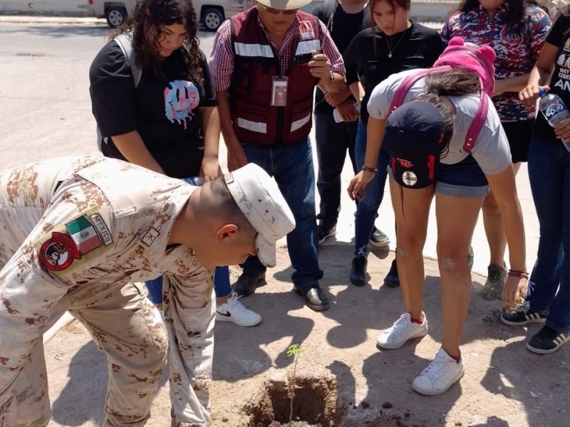 Con jornada de reforestación conmemoran el Día Mundial del Árbol