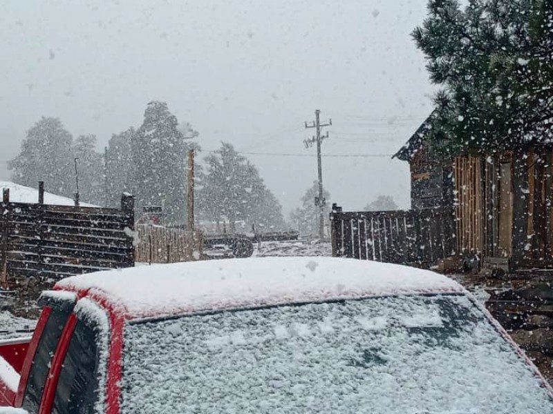 Con la primavera a la vista, cae nieve en Durango.