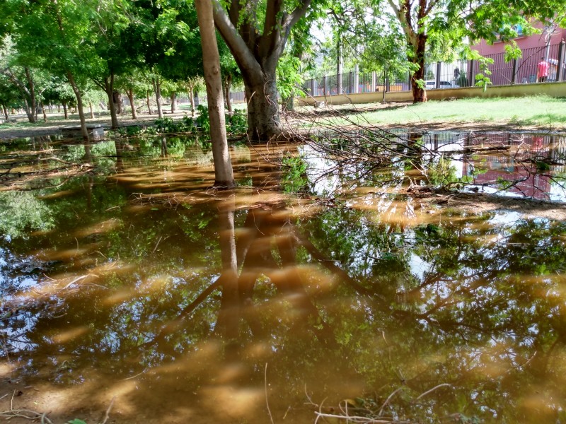 Con las lluvias aumenta riesgo de dengue