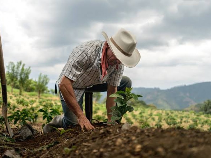 Con miscelánea fiscal 2022, productores pagarán más impuestos