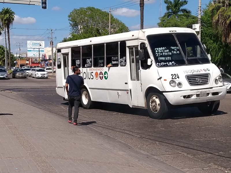 📹Con pérdidas operan transportistas por aumentos a combustible