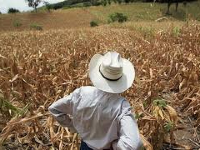 Con pipas de agua se podrá atender sequía: Diputado