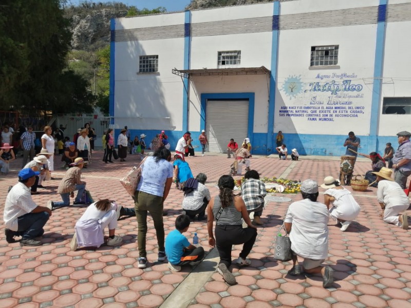 Con ritual prehispánico piden perdón a ahuehuete