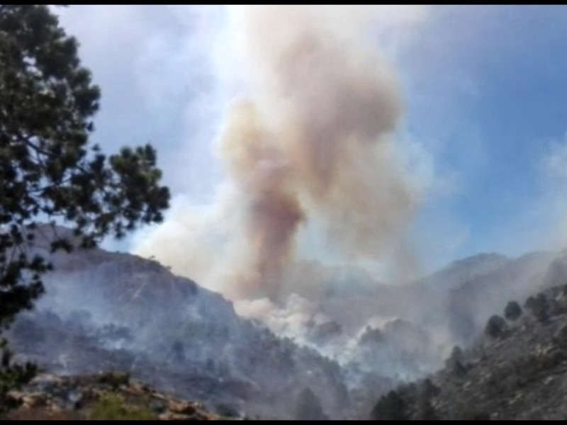 Conafor cierra temporada de incendios