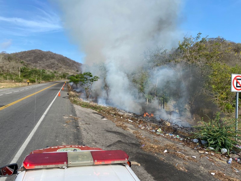 Conafor realiza quema controlada para evitar incendios forestales en Manzanillo