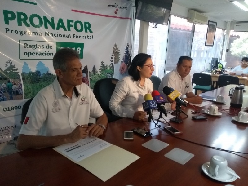 CONAFOR reforestará más de 2mil hectáreas en Chiapas