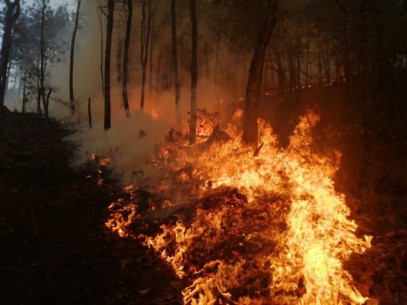 Conafor reporta 28 incendios en 11 entidades