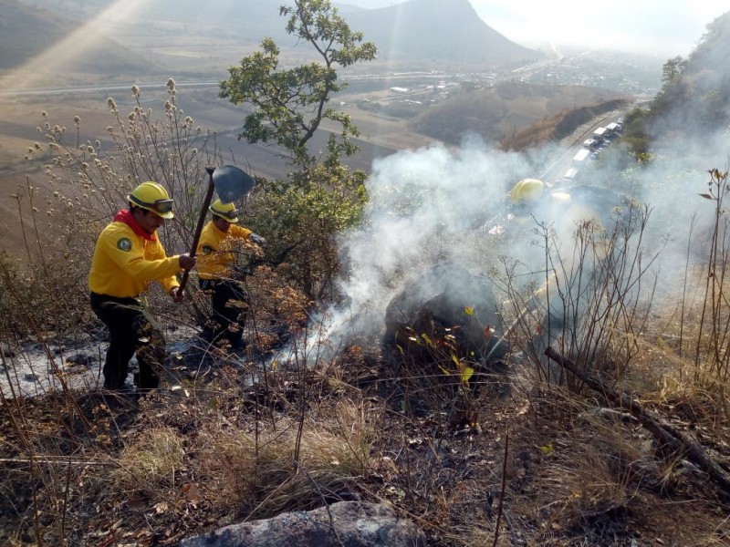 CONAFOR reporta 72 incendios forestales activos