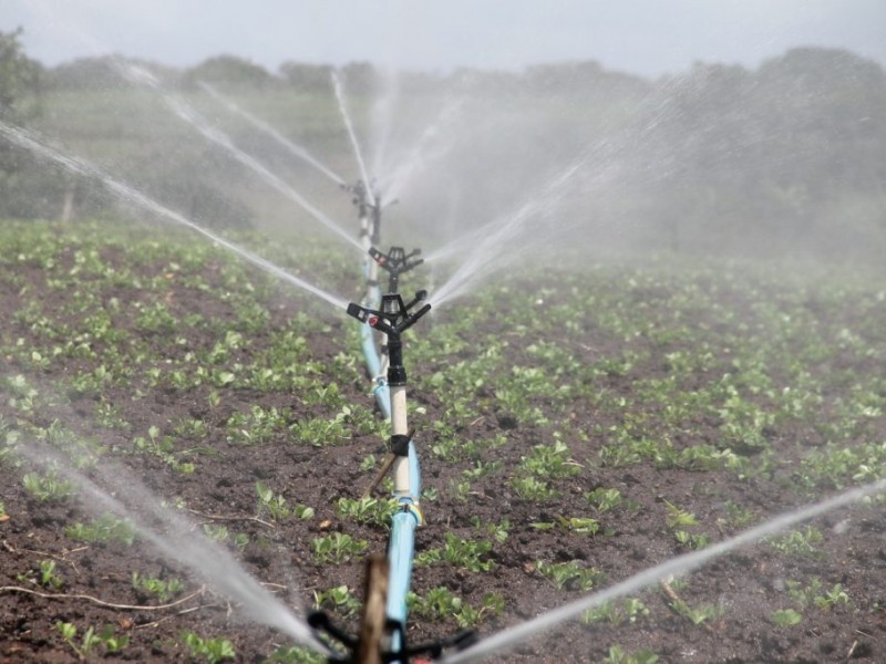 Conagua destraba recursos para tecnificación de riego