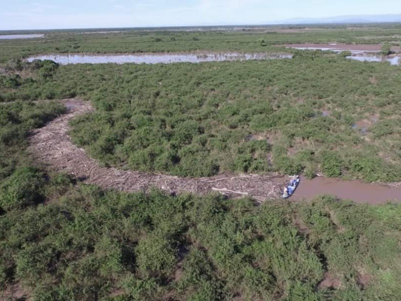 CONAGUA inicia remoción de taponamiento del Río Acaponeta