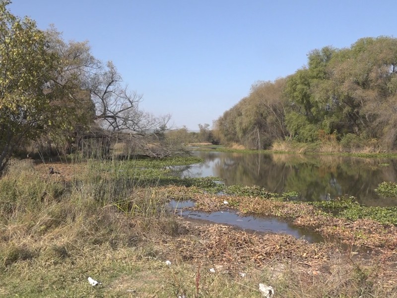 Conagua reporta avance en retiro de aguas negras en Río Tunal