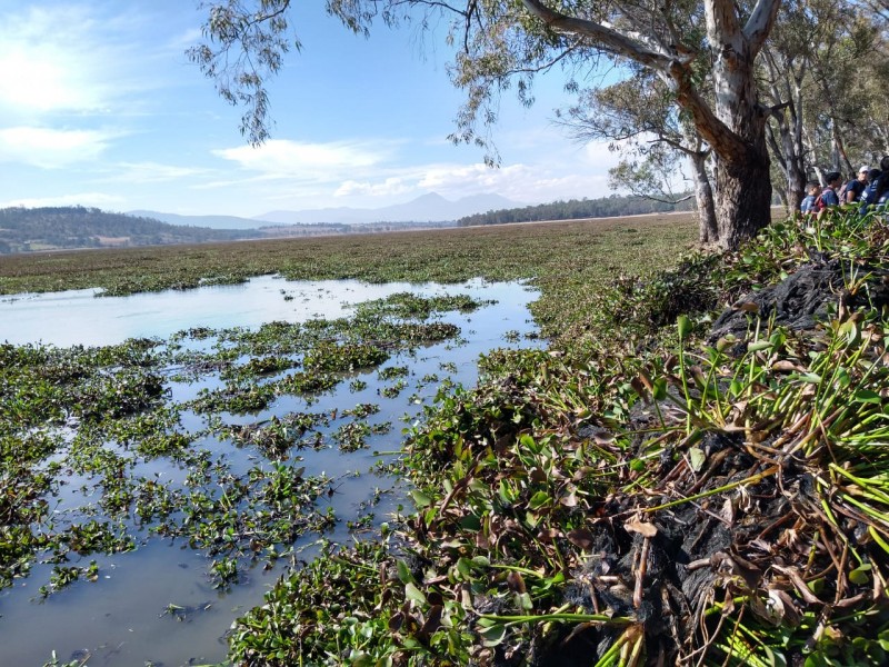 Conagua restringe acceso a presas y embalses de Michoacán