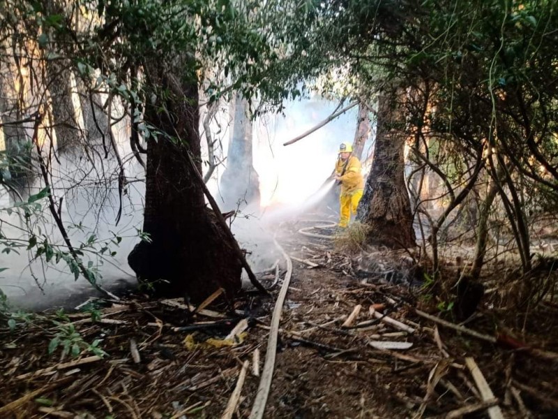 Conato de incendio en el Palmar de Todos Santos