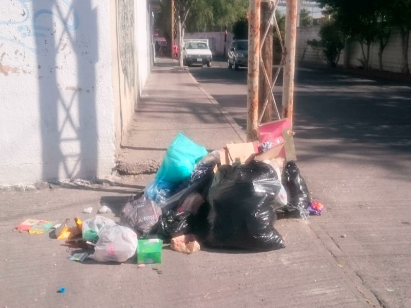 Conciencia desde casa, el impacto de la basura generada