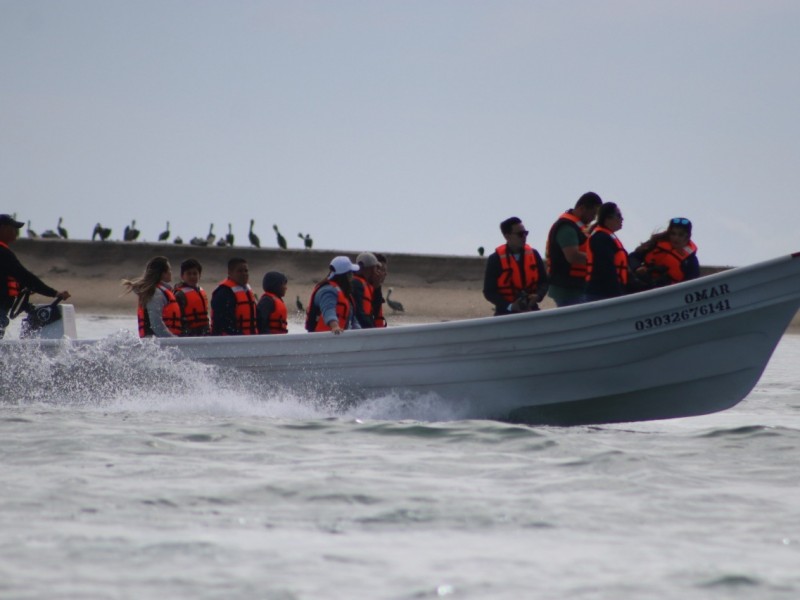 Concluye tercera temporada de avistamiento de ballenas en Puerto Chale