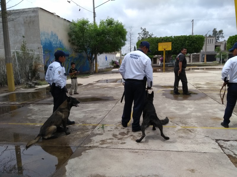 Concluye periodo de vigilancia de seguridad privada