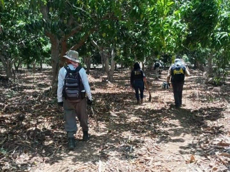 Concluyen colectivos trabajos semanales de búsqueda de desaparecidos