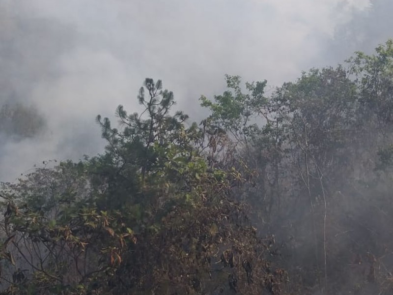 Condiciones climáticas contribuyen a evitar incendios forestales