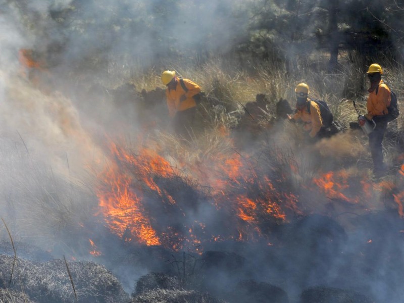 Condiciones climáticas reactivan incendio en Cerro de la Cruz