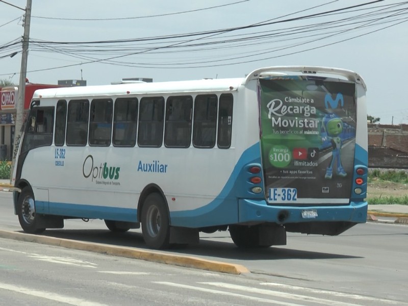 Conductor de transporte público será sancionado por usar el celular