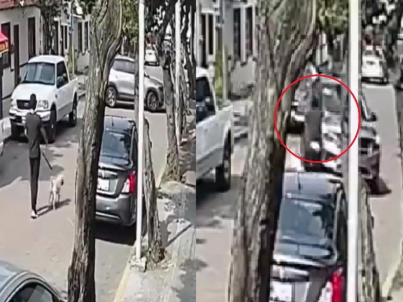 Conductor le pasa encima a joven y perro en CDMX