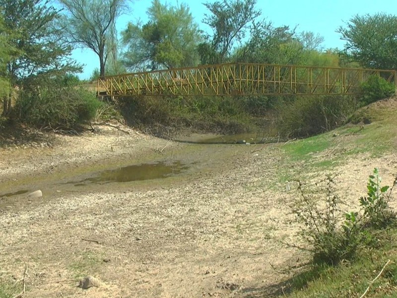 Confían productores que ante sequía saldrá adelante el ciclo agrícola