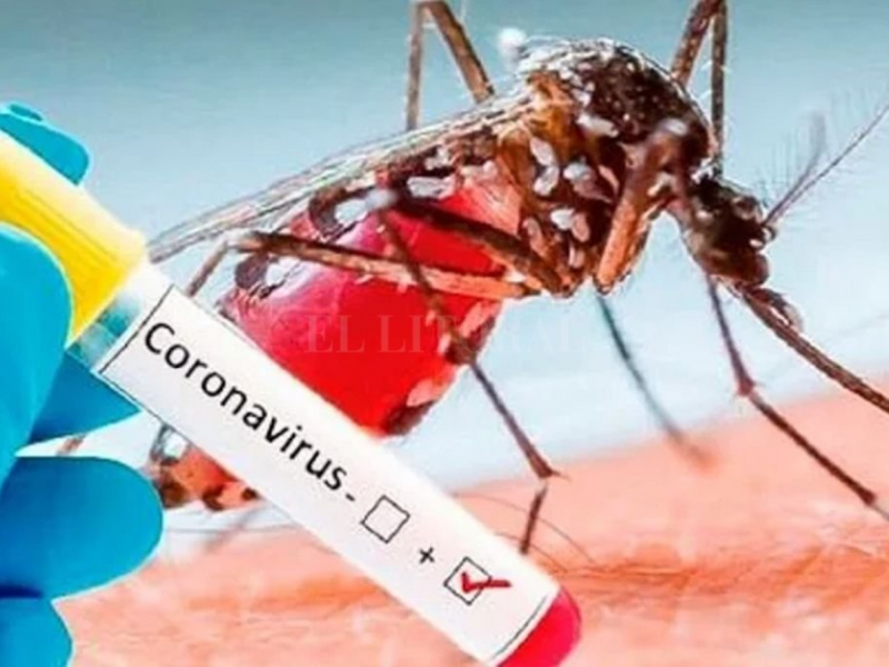 Confirma Salud, 4 casos de corona-dengue en Nayarit