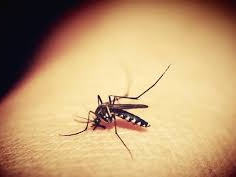 Confirman 226 casos de dengue en Puebla